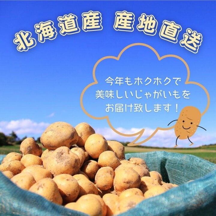 楽天市場】【 越冬じゃがいも 】 じゃが玉セットA きたあかり 5kg 