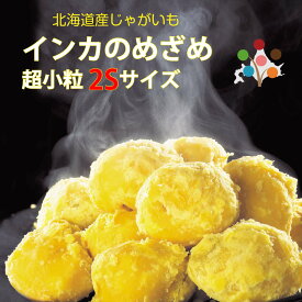 【 越冬じゃがいも 】 インカのめざめ 超小粒 SS 3kg 北海道 ジャガイモ インカの目覚め じゃがいも 北海道野菜 TV放送 マツコの知らない世界 で紹介されました