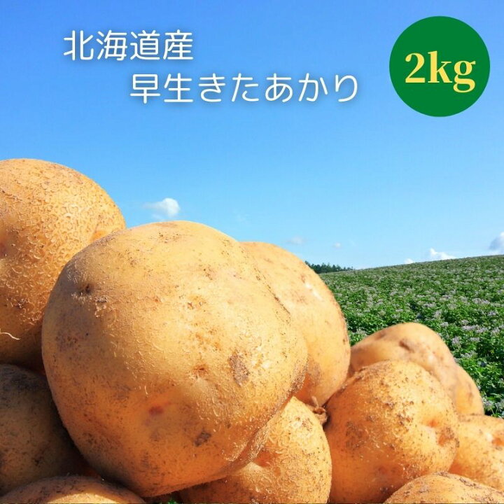 楽天市場 予約 じゃがいも 早生 きたあかり L 2kg ギフトに 北海道 ジャガイモ キタアカリ 北あかり 御祝い 御礼 プレゼント お返し お取り寄せ じゃがいも 北海道マルシェ