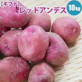 楽天市場 珍しい 食べ物の通販
