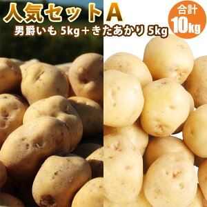 y2025N\zy VႪ z lCZbgA  5kg j 5kg M/LM Zbg / k L^AJ Ⴊ kC lߍ킹 kCY؃Mtg |eg 10{蔭\