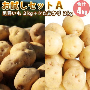 y2025N\zy VႪ z ZbgA  2kg j 2kg / L^AJ k j WKC Ⴊ  10{蔭\