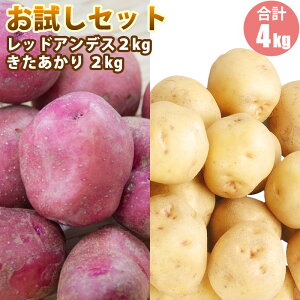 y2025N\zy VႪ z Zbg bhAfX 2kg  2kg Zbg / k L^AJ WKC Ⴊ kCY ؃Mtg |eg 11{\