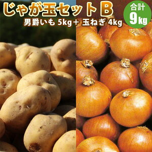y2025N\zy VႪ z ႪʃZbgB j 5kg ʂ˂ 4kg / ܂˂ Zbg ʔK j݂ Ⴊ kCY ؃Mtg |eg 10{蔭\