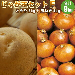 y2025N\zy VႪ z ႪʃZbgF Ƃ 5kg ʂ˂ 4kg / ܂˂ Zbg ʔK Ⴊ kCY ؃Mtg |eg 10{蔭\