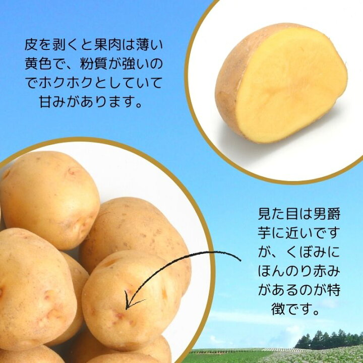 楽天市場 予約 じゃがいも 早生 きたあかり L 2kg ギフトに 北海道 ジャガイモ キタアカリ 北あかり 御祝い 御礼 プレゼント お返し お取り寄せ じゃがいも 北海道マルシェ