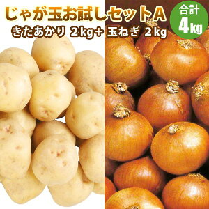 10OFFN[|Ώ y2025N\zy VႪ z ႪʂZbgA  2kg ʂ˂ 2kg  ܂˂ Zbg Ⴊ kC kCY ؃Mtg |eg 10