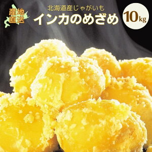 y2025N\zy VႪ z CĴ߂ S/M/LM/L/2L 3kg/5kg/10kg WKC CJ̖ڊo Ⴊ kC kCY ؃Mtg |eg 10{蔭\