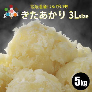 y VႪ z  3LTCY 5kg/10kg kC WKC L^AJ k Ⴊ kCY ؃Mtg |eg  傫Ⴊ 傫TCY 11{蔭