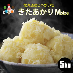 �y�N��������12/18��9�������܂Łz�y �V���Ⴊ���� �z ���������� M�T�C�Y 3kg/5kg/10kg �k�C�� �W���K�C�� �L�^�A�J�� �k������ ���Ⴊ���� �k�C���Y��� ��؃M�t�g �|�e�g ������