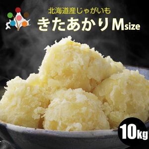 y2025N\zy VႪ z  MTCY 3kg/5kg/10kg kC WKC L^AJ k Ⴊ kCY ؃Mtg |eg 10{蔭\