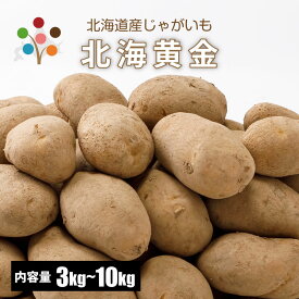 【 越冬じゃがいも 】 北海黄金 LM/L/2L混 3kg/5kg/10kg 北海道 ジャガイモ ホッカイコガネ じゃがいも 北海道産野菜 野菜ギフト ポテト