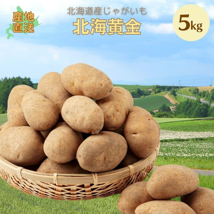 楽天市場 新じゃがいも 北海黄金 Lm L 2l混 5kg 北海こがね 北海道 ジャガイモ ホッカイコガネ ギフト お取り寄せ 食品 贈物 贈答品 じゃがいも 野菜 道産野菜 野菜ギフト 北海道産 内祝 御礼 御祝 誕生祝 敬老 お歳暮 御歳暮 年末年始 寒中見舞い お正月 お年賀