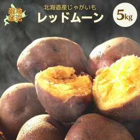 【 越冬じゃがいも 】 レッドムーン LM/L/2L混 5kg 北海道 ジャガイモ 赤い じゃがいも 野菜 野菜ギフト 北海道産