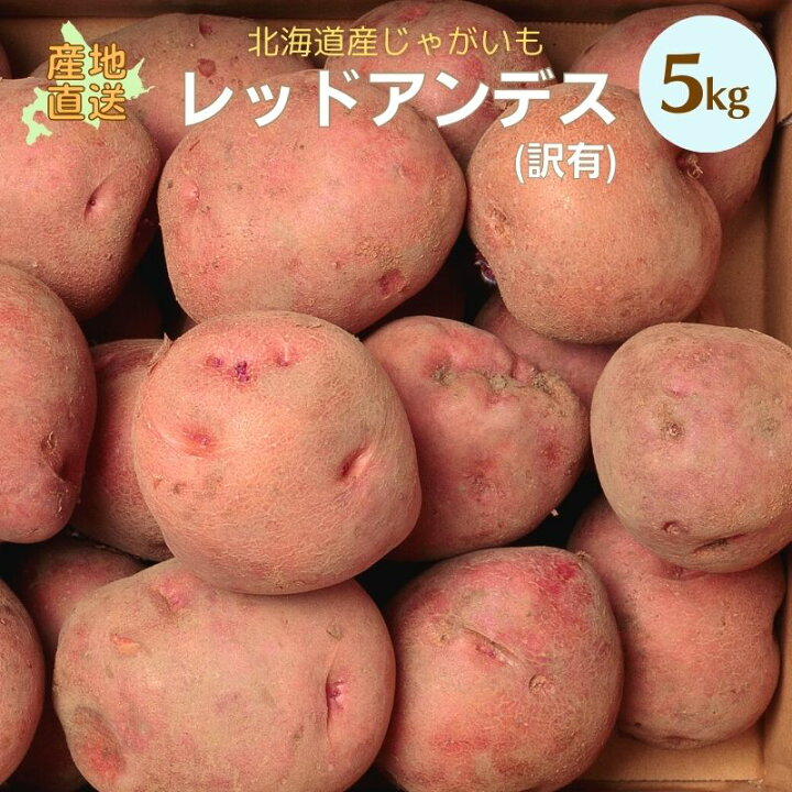 楽天市場 新じゃがいも 訳あり レッドアンデス 5kg 希少な 北海道 ジャガイモ 珍しい 赤い アンデスレッド お取り寄せ 食品 じゃがいも 自宅用 お試し 業務用 北海道マルシェ