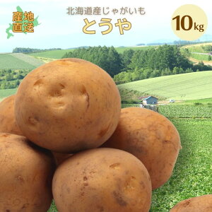 y2025N\zy VႪ z Ƃ LM/L/2L 3kg/5kg/10kg kC WKC   Ⴊ kCY ؃Mtg |eg 10{蔭\