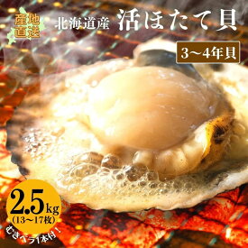 活ホタテ（3～4年貝）2.5kg（13～17枚） 【冷蔵】 送料無料 帆立 ほたて ホタテ 海鮮 海鮮ギフト 北海道産 産地直送 活ほたて