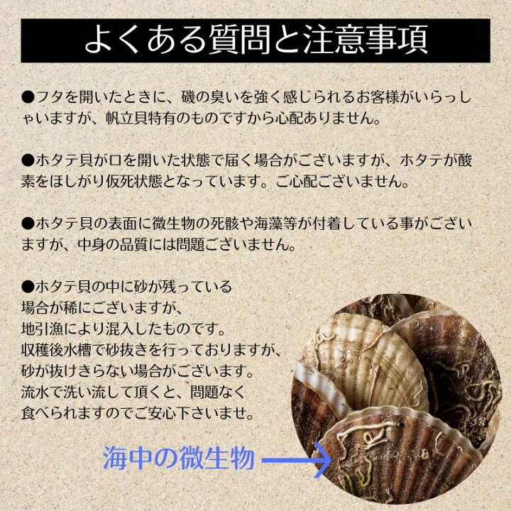 楽天市場】活ホタテ と いくら100gのセット 【冷蔵】 送料無料 帆立 