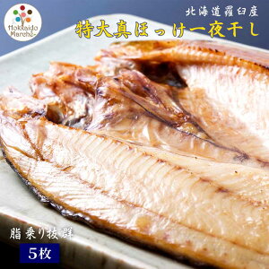 kCPY ^قJ銱 ( 400gO ) 銱  kC P m Jق ق銱 zbP CNMtg 1/2/3/4/5