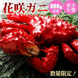 花咲ガニ 800g前後 1尾/2尾 北海道産 カニ 花咲ガニ 花咲蟹 蟹 蟹ギフト 海鮮ギフト