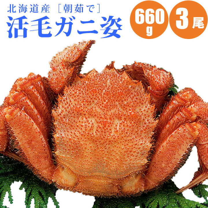 楽天市場】☆【予約】 早期予約でイクラ3個付 活毛蟹を朝茹でしました  
