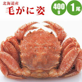 毛ガニ 400g × 1尾 北海道 カニ 毛蟹 蟹通販 海鮮ギフト 蟹ギフト