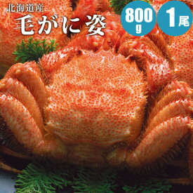毛ガニ 800g × 1尾 特大 北海道 カニ 毛蟹 蟹通販 海鮮ギフト 蟹ギフト
