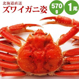 【かに カニ 蟹】 ズワイガニ姿 570g×1尾 蟹 カニ かに すっきりした甘みズワイガニ姿 蟹ギフト 海鮮
