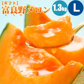 【予約】 富良野メロン 1.3kg (Lサイズ)×1玉 富良野メロン 北海道メロン メロン 北海道 赤肉メロン 旬のフルーツ フルーツ 果物