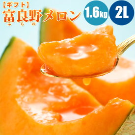 【予約】 富良野メロン 1.6kg (2Lサイズ) 富良野メロン 北海道メロン メロン 北海道 赤肉メロン 旬のフルーツ フルーツ 果物