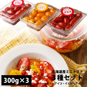 y \ z kCY ~jg}g 3Zbg x[g}g ACR CG[ACR e300g g}g Ƃ܂ ~jg}g e J kC Y Y { g}gx[ 7{蔭\