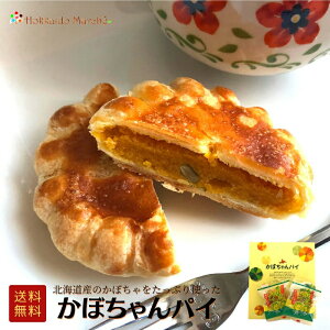 CԖ ڂpC ڂ pC XC[c َq ڂpC XC[cMtg yY  kC ڂ{