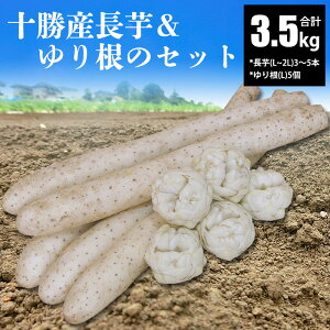 y2025N\z \Y (L`2L)3`5{ 荪 (L)5 Zbg h{Lx   kCY  ؃Zbg 12{\񏇔\