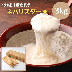 【2025年予約】 ネバリスター 長芋 3kg2L（3本〜5本） 道産野菜 十勝 北海道産 北海道 野菜 冬野菜 北海道冬野菜 長いも ながいも 12月中旬より予約順に発送予定