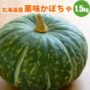 y2025N\z zNzNIڂ1 / i1.5kgȏjkCY ~ J{` Z kC kCY ؃Mtg |eg 10{蔭\