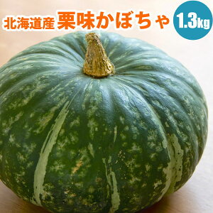 y2025N\z zNzNIڂ1 / i1.3kgȏjkCY ~ J{` Z kC kCY ؃Mtg |eg 10{蔭\