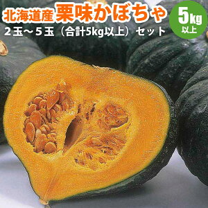 y2025N\z zNzNIڂ 2ʁ`5 / iv5kgȏjkCY ~ J{` Z kC kCY ؃Mtg |eg 10{蔭\