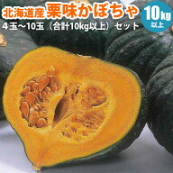 【8/16までの特別早割価格】【予約】 北海道産ホクホク栗味かぼちゃ 4玉〜10玉 （合計10kg以上） 冬至 カ…