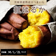 【 楽天スーパーSALE 10%OFF 対象商品 割引 】 茨城県旭村産「紅はるか」5kg M/L/2Lサイズ 送料無料 通販…