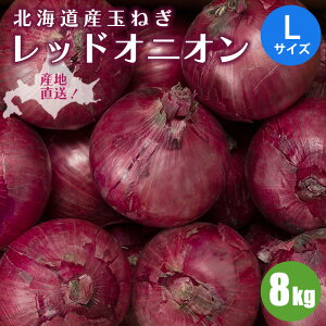 y2025N\z bhIjI 4kg/8kgLTCY ԋʂ˂ kCY ʔK ԋʔK ܂˂ kC kCY ؃Mtg 10{蔭\