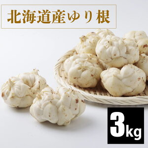 y2025N\z kCY 荪 2kg/3kg  S ~Mtg 12{\񏇂ɔ\