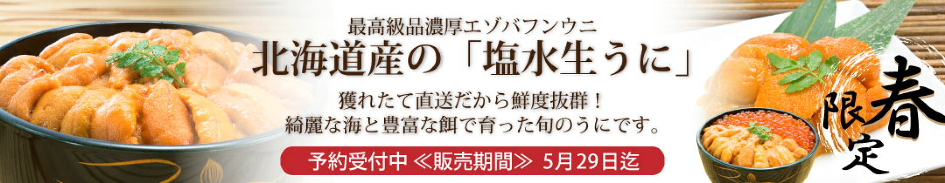 塩水生うに！希少なエゾバフンウニをご堪能下さい