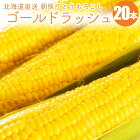 �̳�ƻ��/����ľ���Ȥ��������