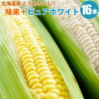 �̳�ƻ��/����ľ���Ȥ��������