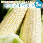 �̳�ƻ��/����ľ���Ȥ��������