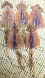 kC߁@5/XCJ @yRCPz5P13oct13_b