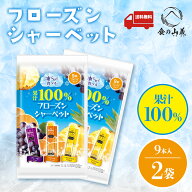 2袋セット 9本 果汁100% フローズンシャーベット リボン シャーベット アイス デザート 冷凍スイーツ 果…