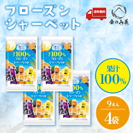 4袋セット 9本 果汁100% フローズンシャーベット リボン シャーベット アイス デザート 冷凍スイーツ フ…