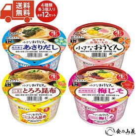 【送料無料】小さなおうどん 詰め合わせ 12個セット 食べきりサイズ インスタントうどん ご当地即席麺 ミニカップ麺 常備食 防災備蓄