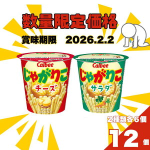 Jr[ Ⴊ肱 2 lߍ킹 v12 T_ `[Y Calbee XibNَq َq Jbv Hה ܂Ƃߔ  l ii Cxg p[eB[  d q  